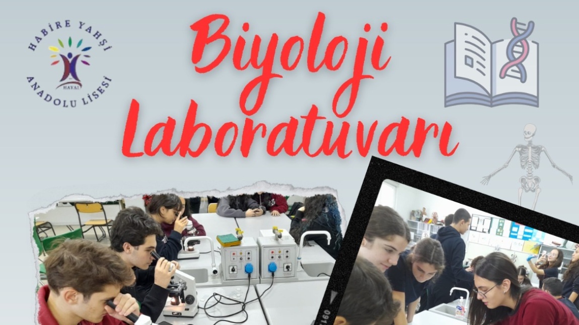 Laboratuvar Etkinliklerimiz